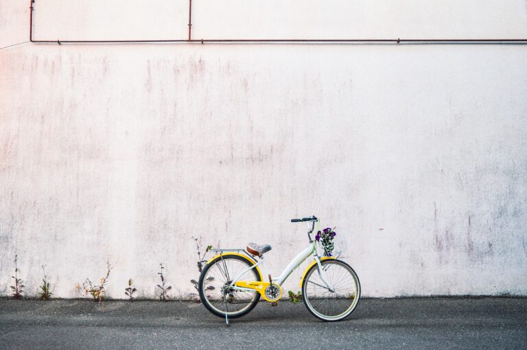 Waar moet je opletten bij het aanschaffen van een stadsfiets?